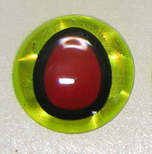 ������ oval pupil 3D adheisve eyes 3/ 8 (10 ��) chartreuse / red (20��)